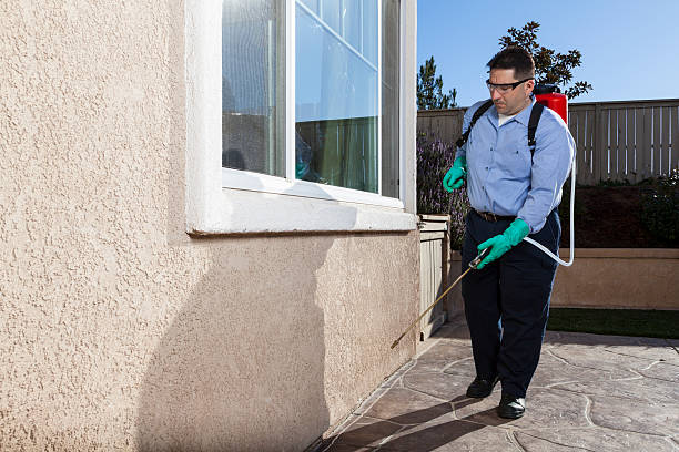 Pest control technician treating home exterior perimeter