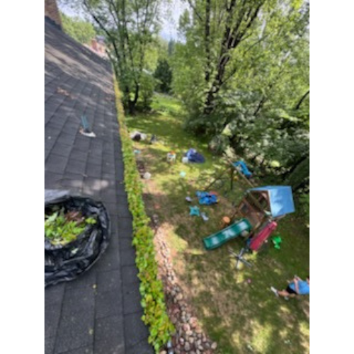 Gutter Cleaning — before